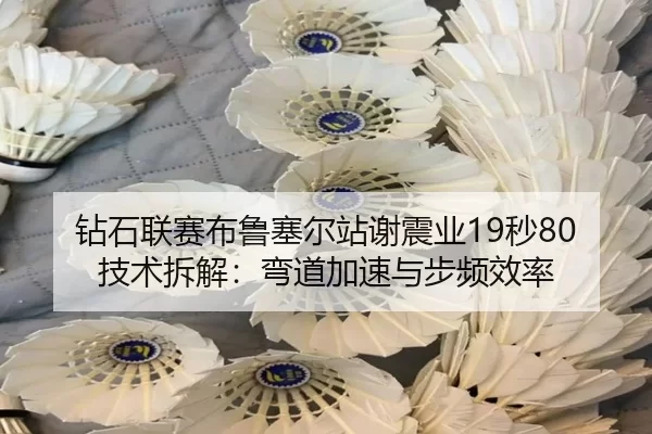 钻石联赛布鲁塞尔站谢震业19秒80技术拆解：弯道加速与步频效率
